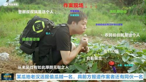假装吃瓜群众视频,短视频背后的趣味与思考