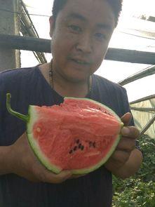 坊子吃瓜事件,揭秘背后真相与网络舆论风暴