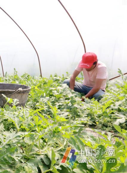 沈阳地产吃瓜,吃瓜群众视角下的楼市众生相