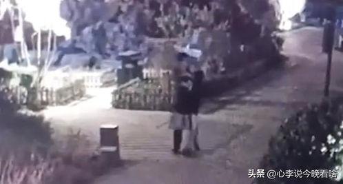 新港吃瓜事件视频,一场网络热议的真相揭秘