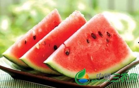 吃瓜也要挑着吃,如何挑选健康美味的瓜果